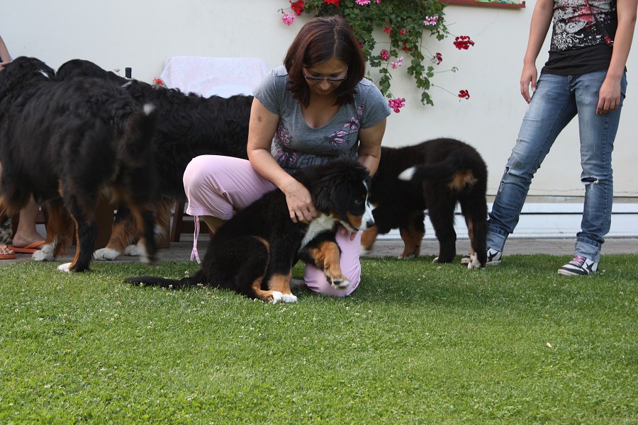 Návštěva u Olí 10.7.2011