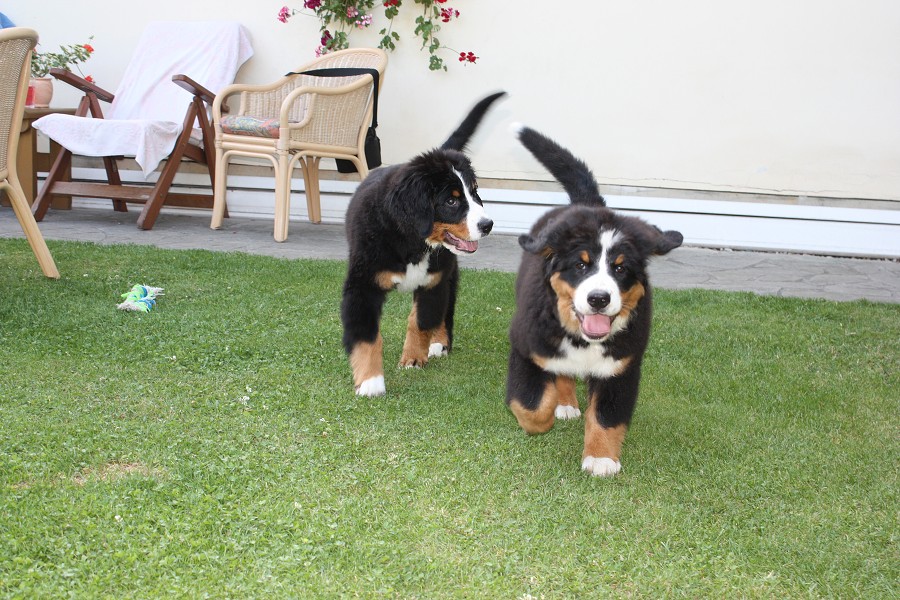 Návštěva u Olí 10.7.2011