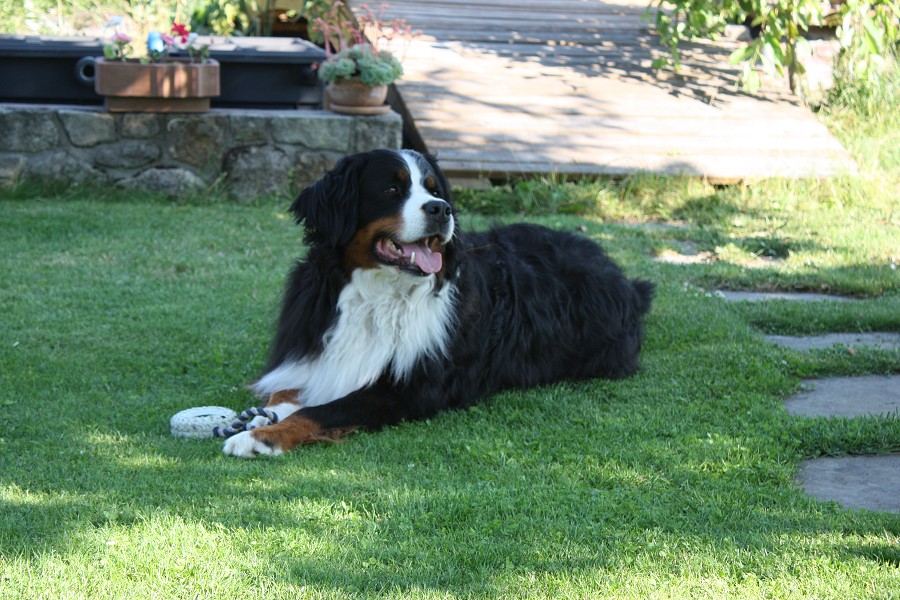 Návštěva u Olí 10.7.2011