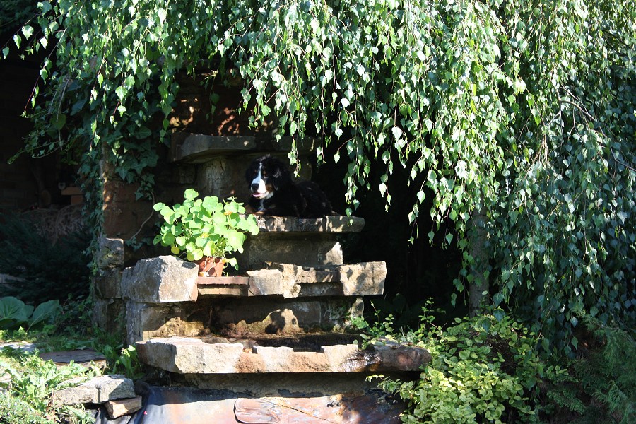 Návštěva u Olí 10.7.2011