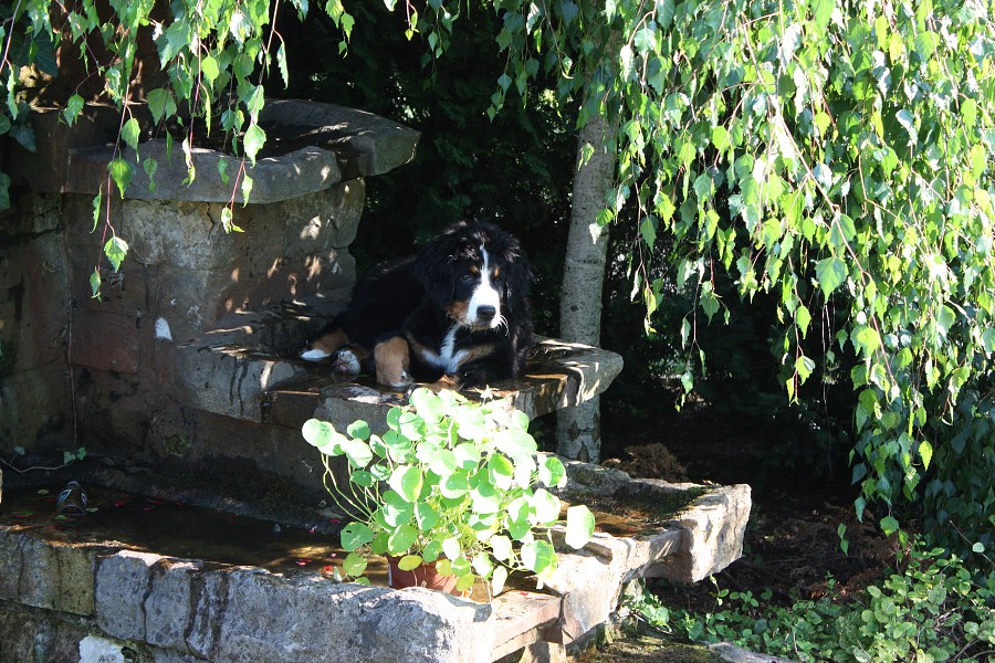 Návštěva u Olí 10.7.2011