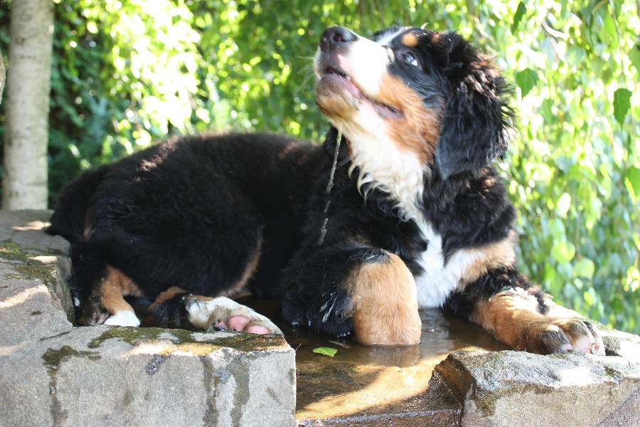 Návštěva u Olí 10.7.2011