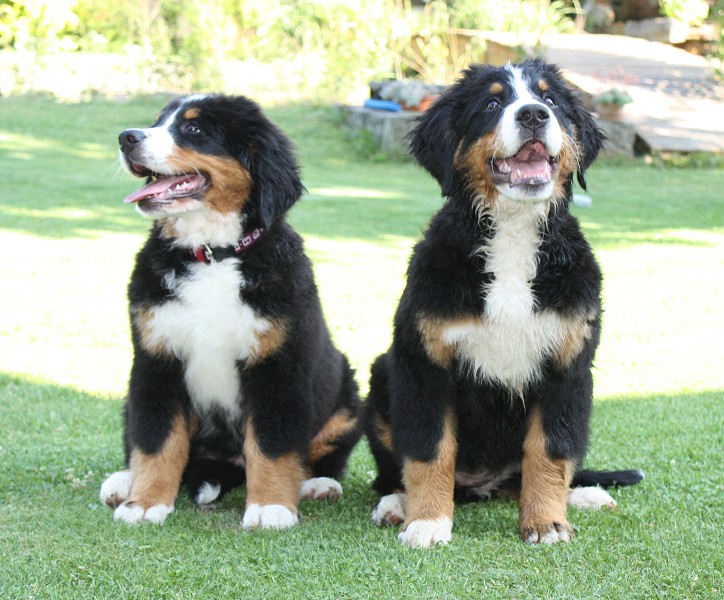 Návštěva u Olí 10.7.2011