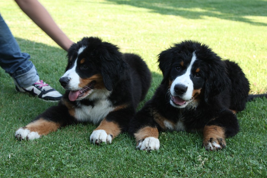 Návštěva u Olí 10.7.2011