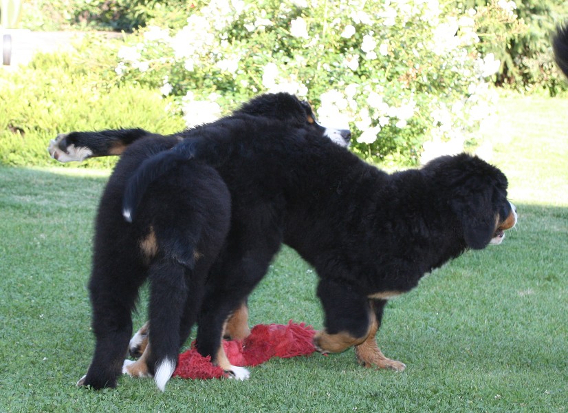 Návštěva u Olí 10.7.2011