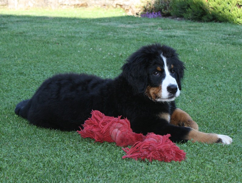 Návštěva u Olí 10.7.2011