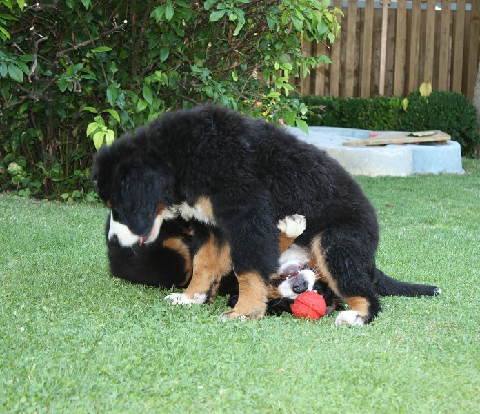 Návštěva u Olí 10.7.2011