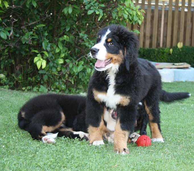 Návštěva u Olí 10.7.2011