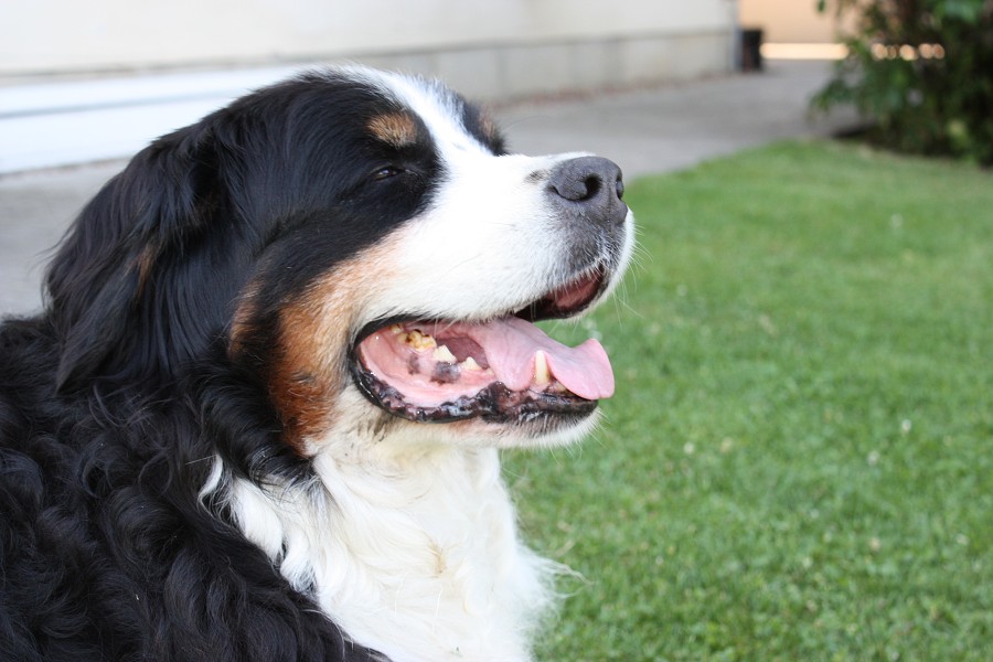 Návštěva u Olí 10.7.2011