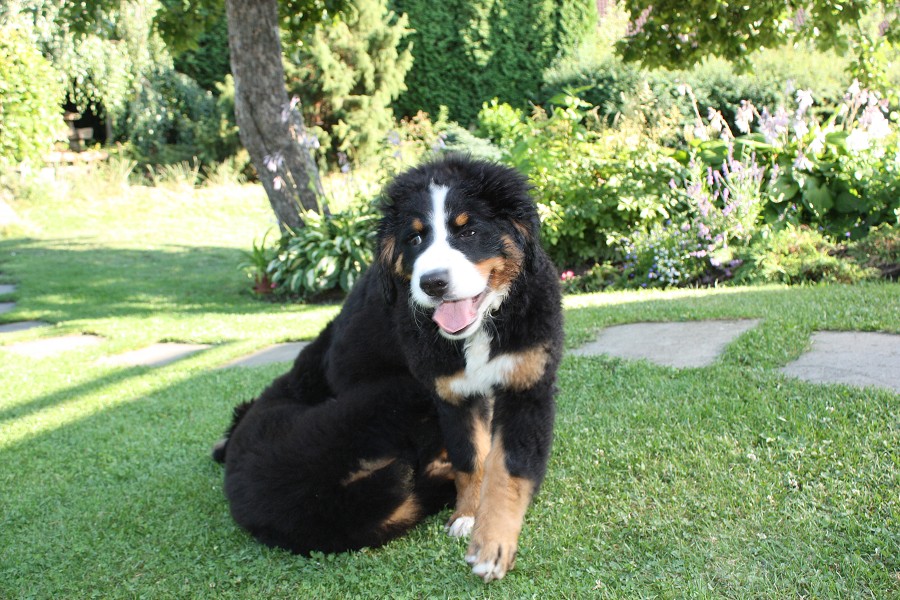 Návštěva u Olí 10.7.2011