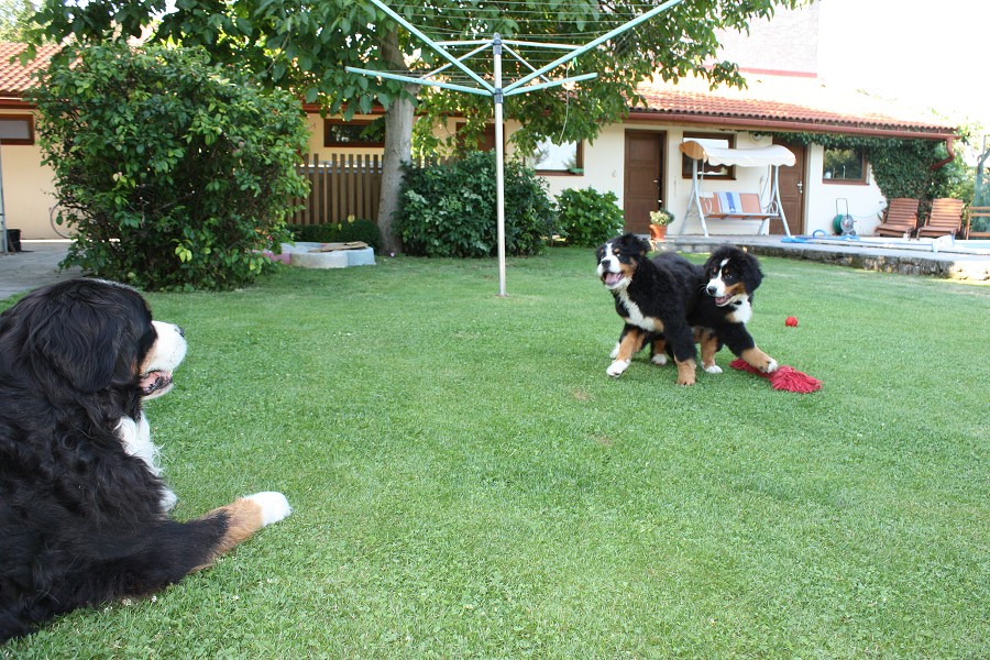 Návštěva u Olí 10.7.2011