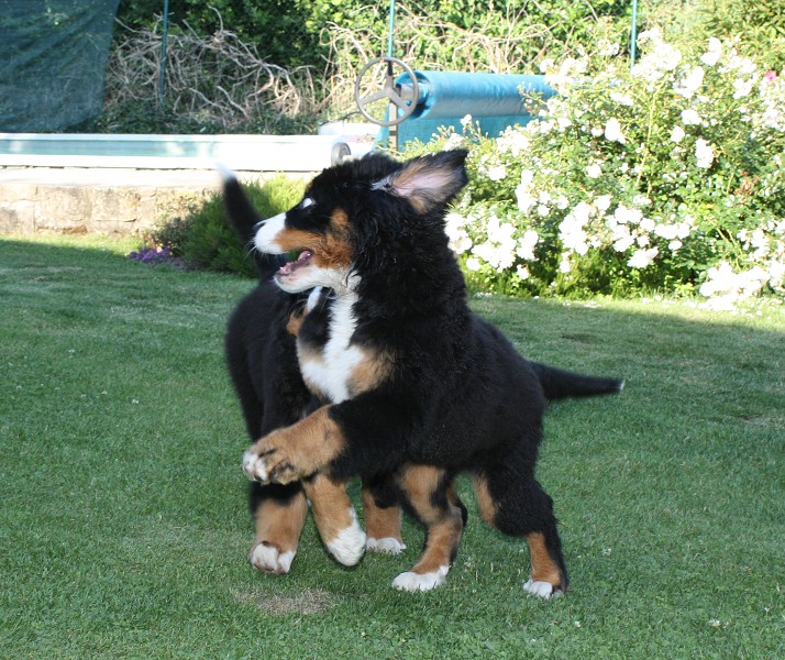 Návštěva u Olí 10.7.2011