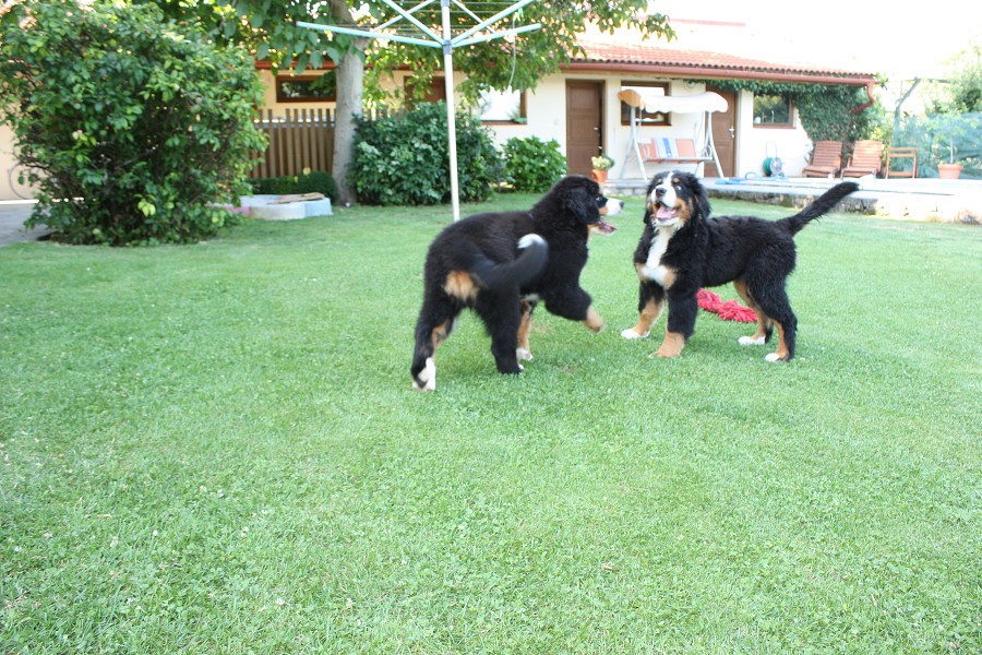 Návštěva u Olí 10.7.2011