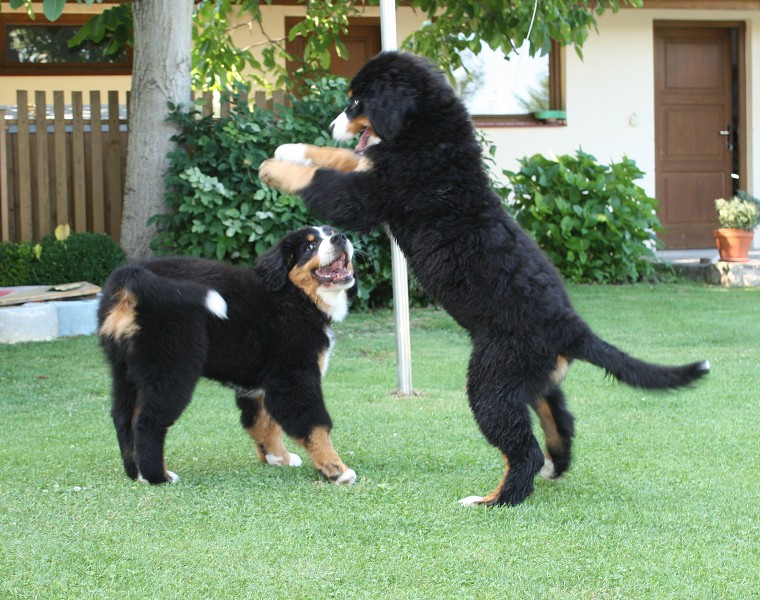 Návštěva u Olí 10.7.2011