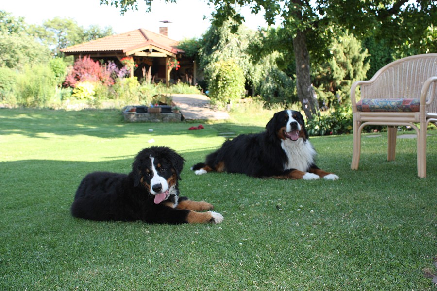 Návštěva u Olí 10.7.2011