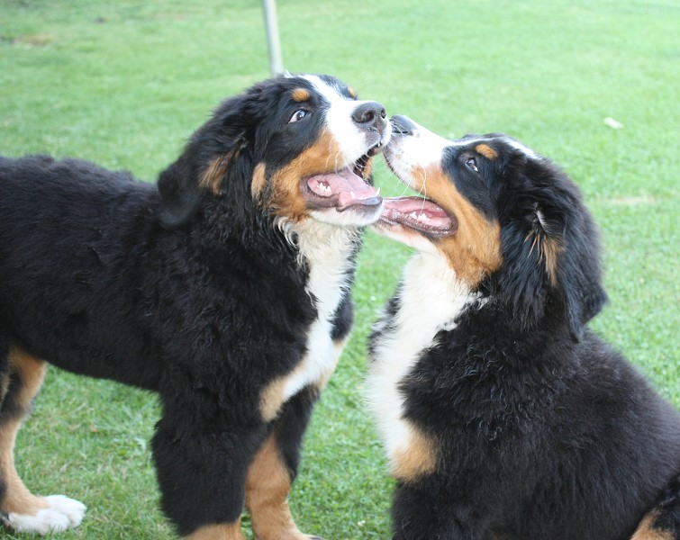 Návštěva u Olí 10.7.2011