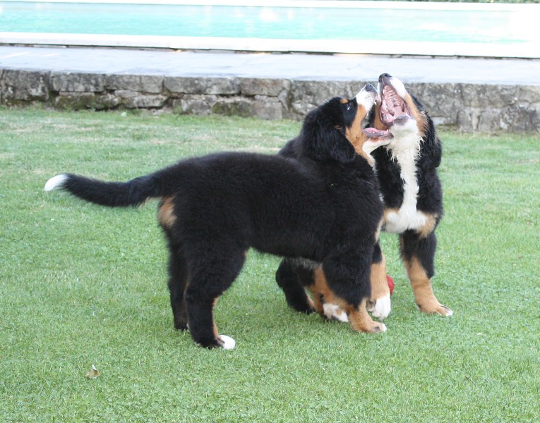 Návštěva u Olí 10.7.2011