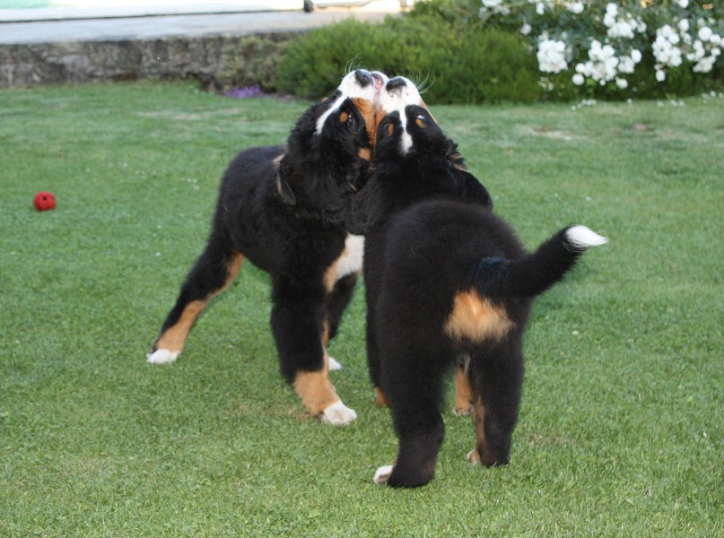 Návštěva u Olí 10.7.2011