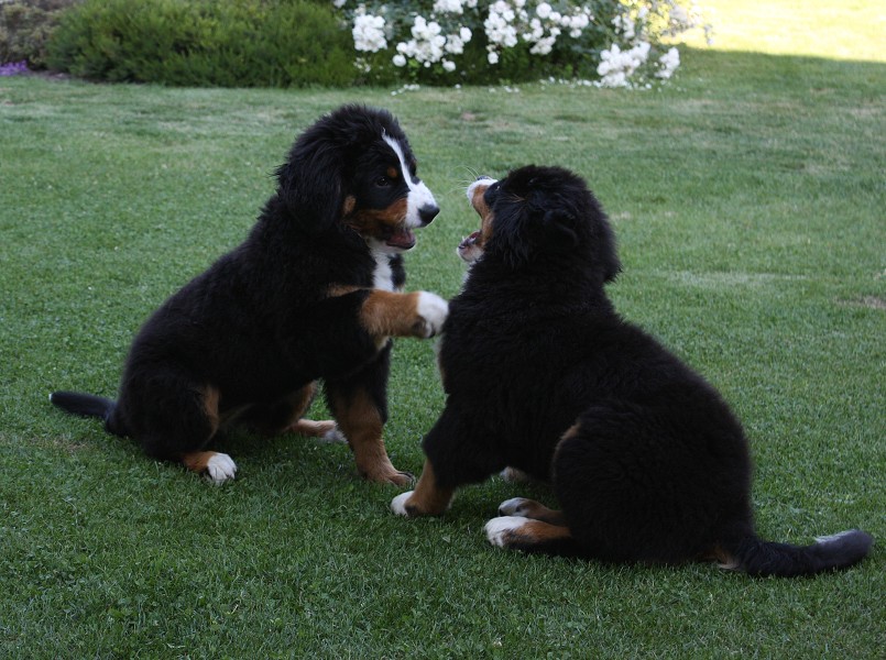 Návštěva u Olí 10.7.2011