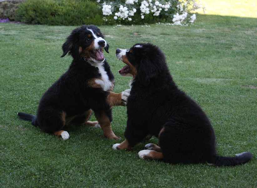 Návštěva u Olí 10.7.2011