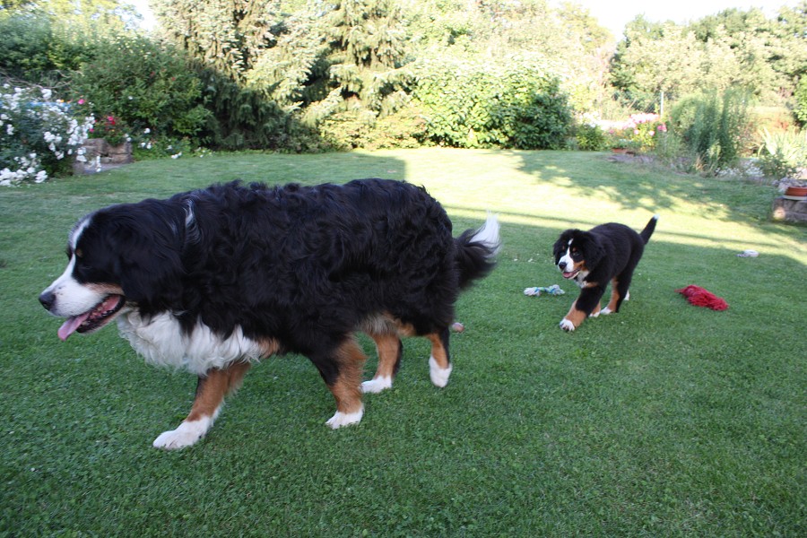 Návštěva u Olí 10.7.2011