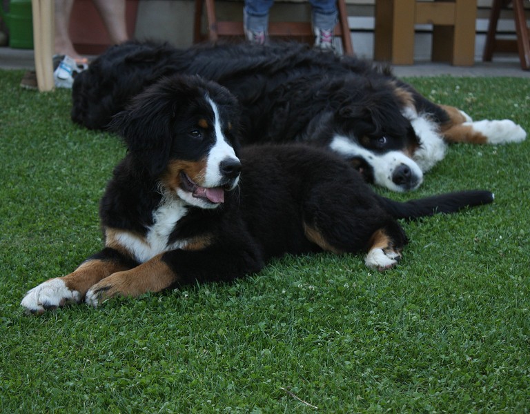 Návštěva u Olí 10.7.2011