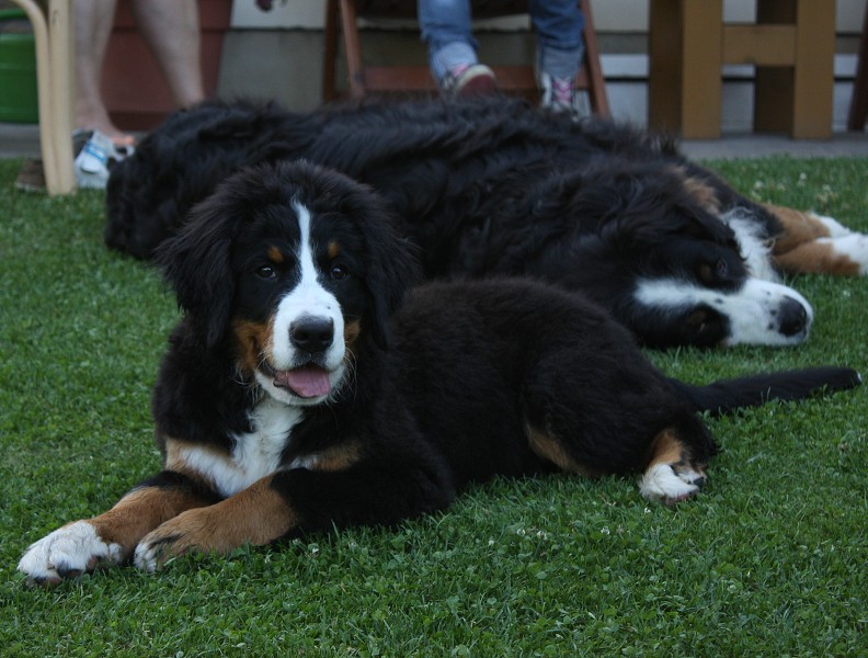 Návštěva u Olí 10.7.2011