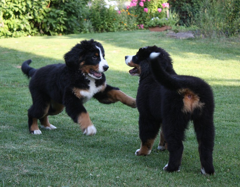 Návštěva u Olí 10.7.2011