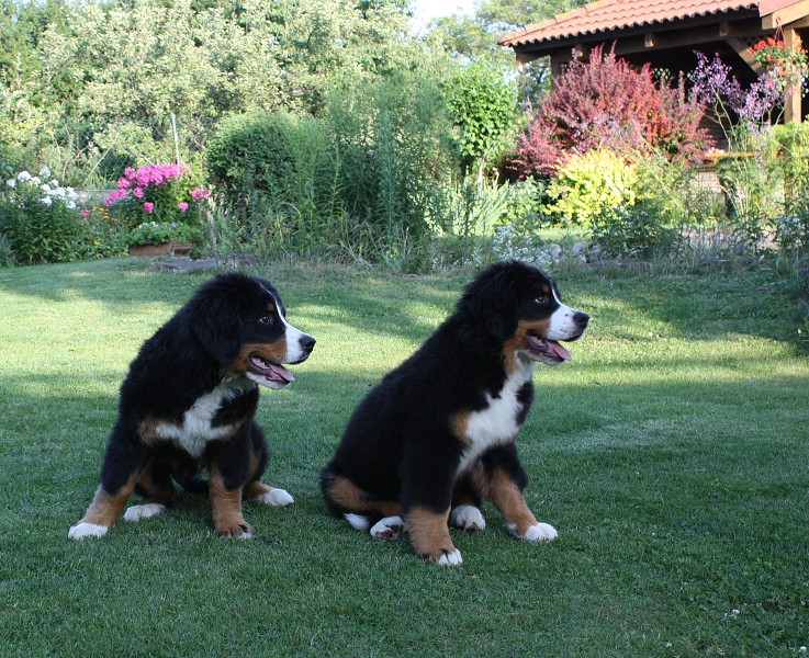 Návštěva u Olí 10.7.2011