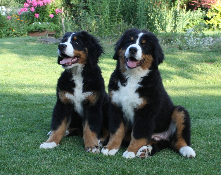 Návštěva u Olí 10.7.2011