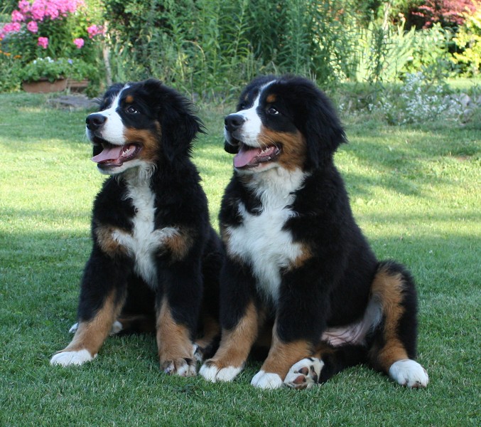 Návštěva u Olí 10.7.2011