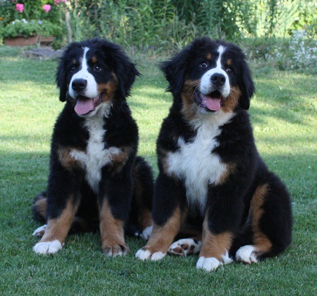 Návštěva u Olí 10.7.2011