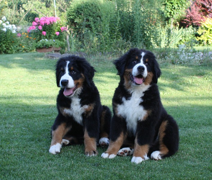 Návštěva u Olí 10.7.2011