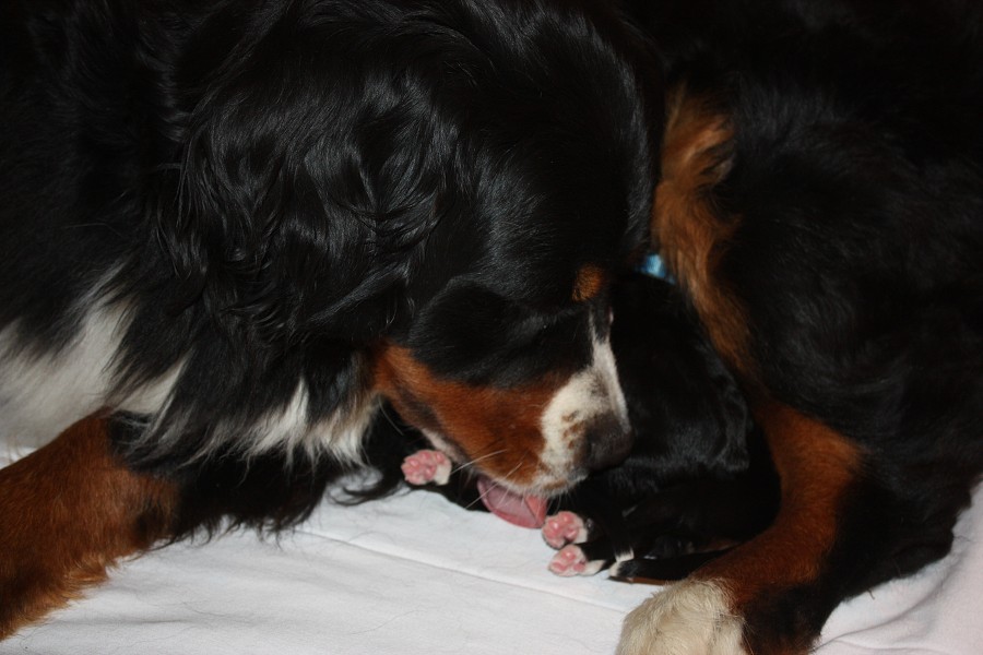 1. týden - společně / together