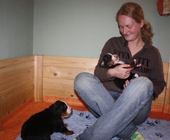 Martina od táty vrhu 